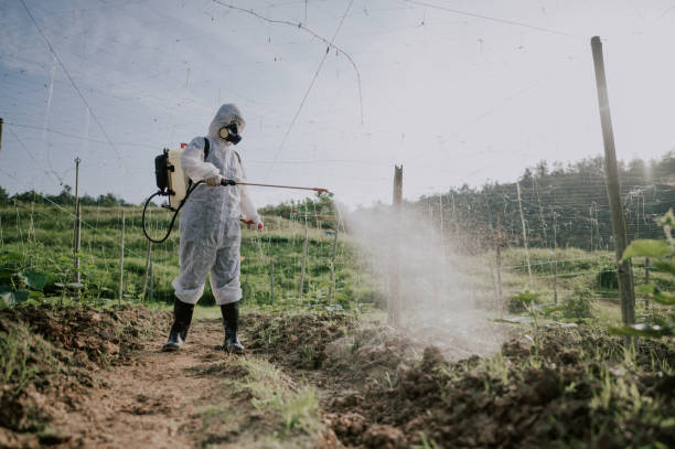 Best Mosquito Control Services  in Hopewell, NJ
