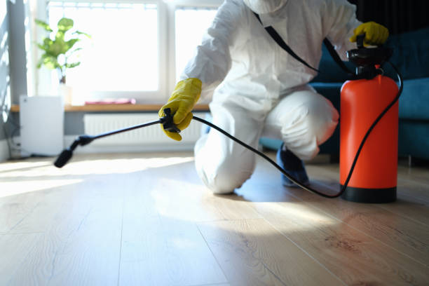 Best Rat Extermination Near Me  in Hopewell, NJ
