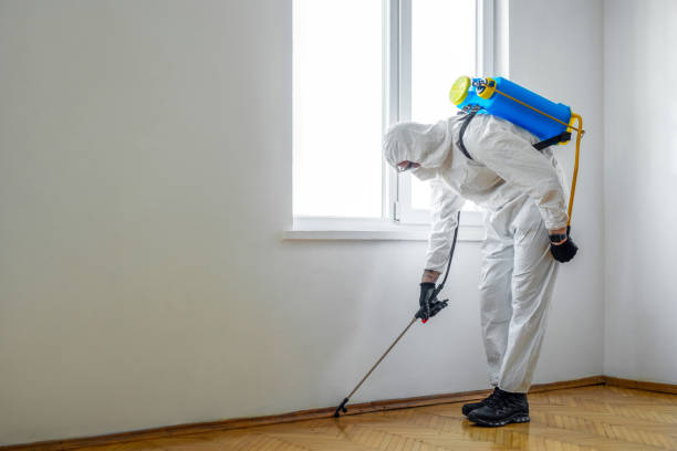 Flea Control Services in Hopewell, NJ