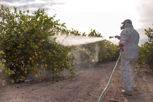 Best Affordable Pest Control Services  in Hopewell, NJ