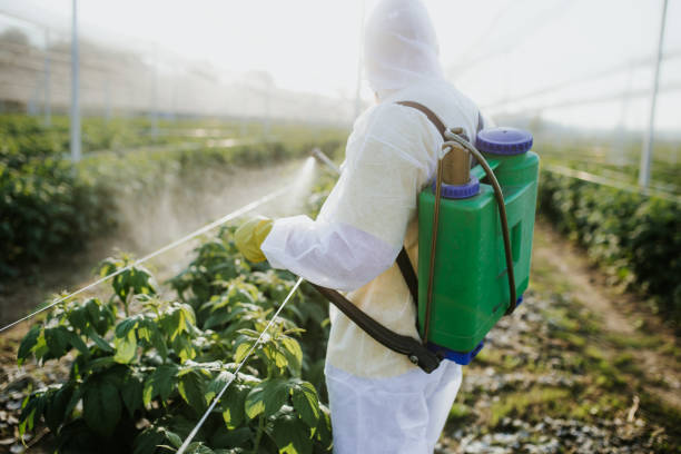 Best Wasp Removal Services  in Hopewell, NJ